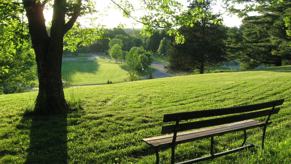 Parc et jardin  Berlin