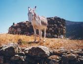 ane cyclades