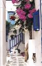 paros ruelle