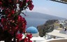 Santorin fleurs