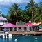 tortola