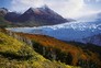 calafate mini