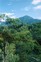 costa rica mini