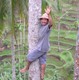homme arbre