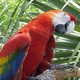 images du Costa Rica