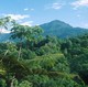 Sentiers du Costa Rica