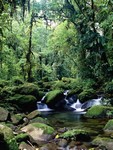 Monteverde