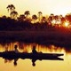 Au coeur du botswana