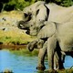 combine Kruger / Mozambique