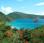 Guana island