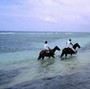 Anguilla