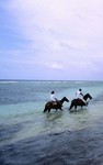 Anguilla