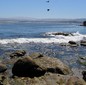 Pismo Beach