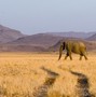 Namibie