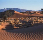 dune