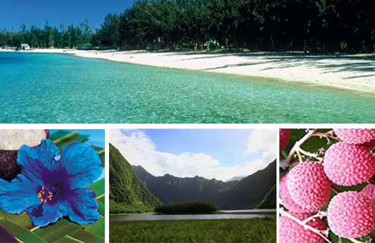 Voyage, S�jour � l'ile de la r�union