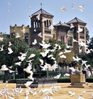 Seville