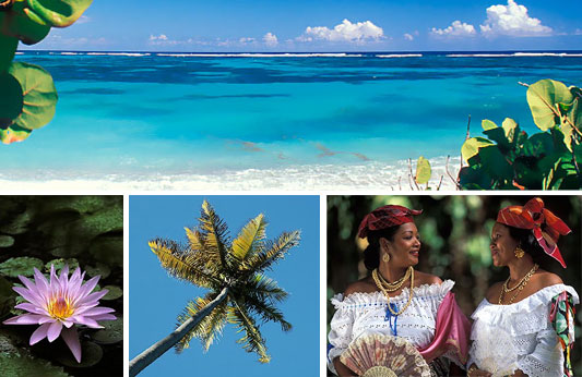 Voyage, séjour en martinique