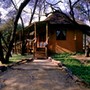 crocodile camp