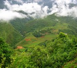 sapa