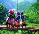 sapa