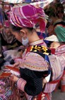 sapa