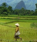 laos