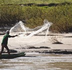 mekong
