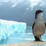 Voyage Argentine