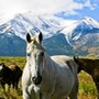 voyage Colorado
