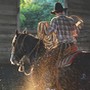 séjour ouest etats unis