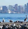 san diego