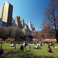 voyage new york