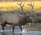 voyage wyoming