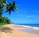 Voyage Sri Lanka
