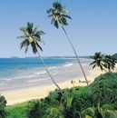 voyage Sri Lanka