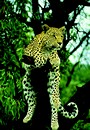 s�jour Sri Lanka