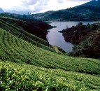 voyage Sri Lanka