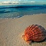 voyage Seychelles