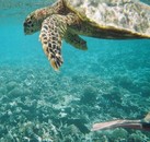 s�jour Seychelles