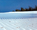 s�jour Madagascar