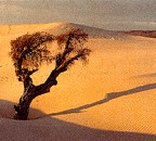 voyage Madagascar