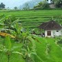 voyage Indon�sie