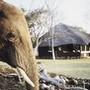 s�jour Zimbabwe chutes victoria