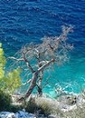 S�jour Gr�ce