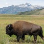 voyage ouest etats unis