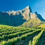 voyage Afrique du Sud