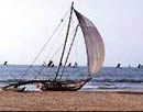 negombo, catamaran
