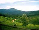 nuwara eliya
