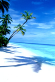 Plage Faafu Atoll